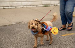 5ef434e672459d66da80a7c353b5389d591fa807