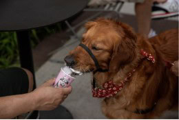 8df61844b8a12833905540d5ef05dd1c49134500