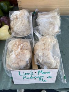 batesville-mainstreet-farmersmarket-grid-11